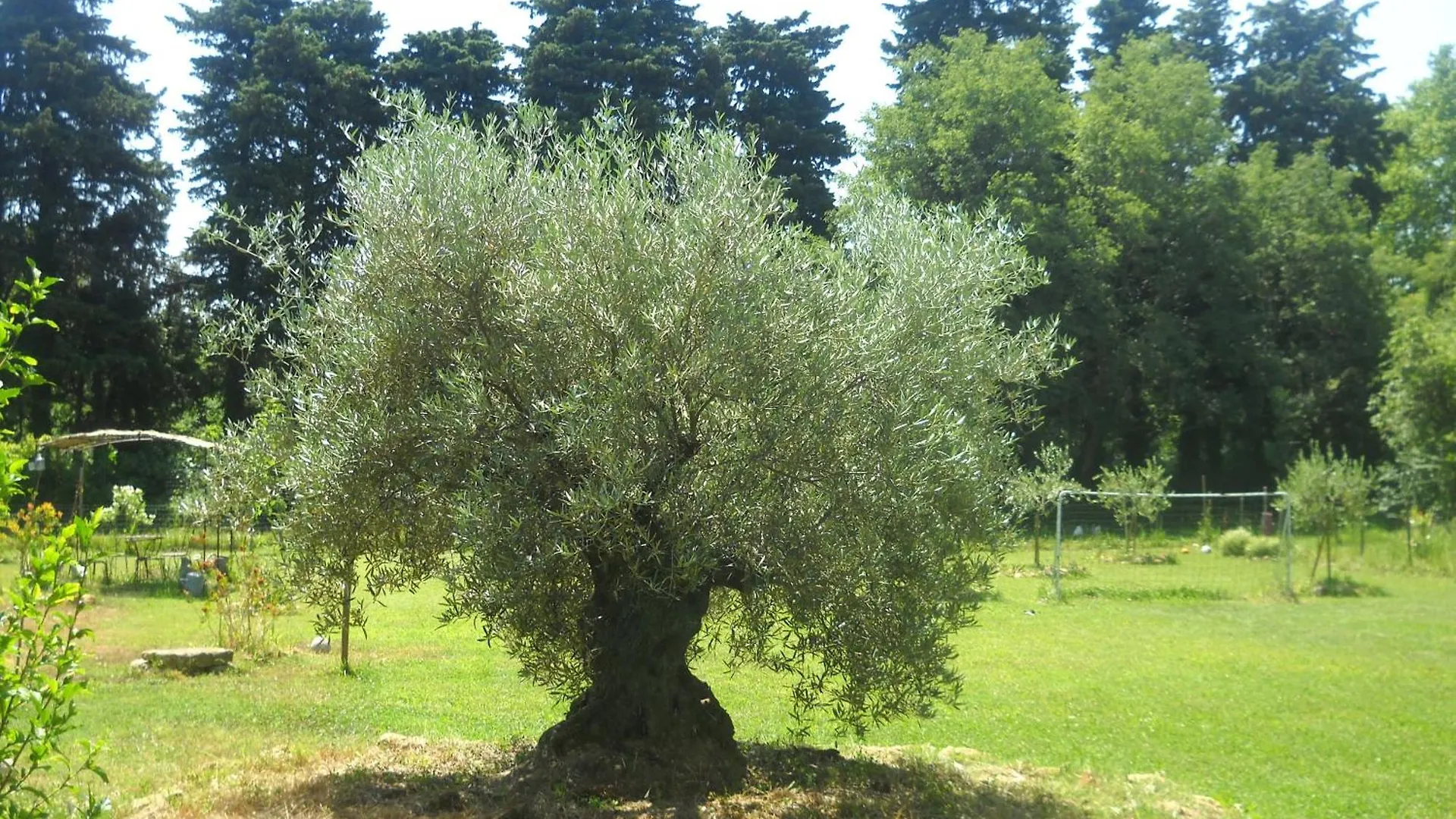 Appartement Dans Mas Provencal Grans 0*,  Frankreich