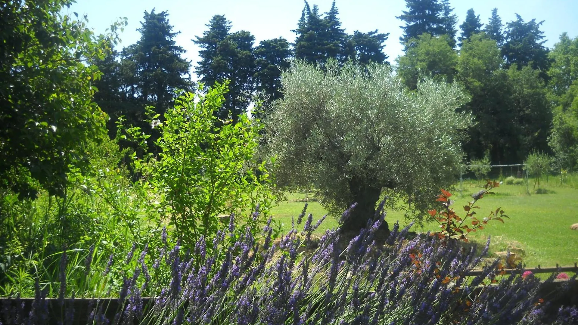 Appartement Dans Mas Provencal Grans Apartment